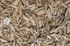 biomass boilers Dogdyke